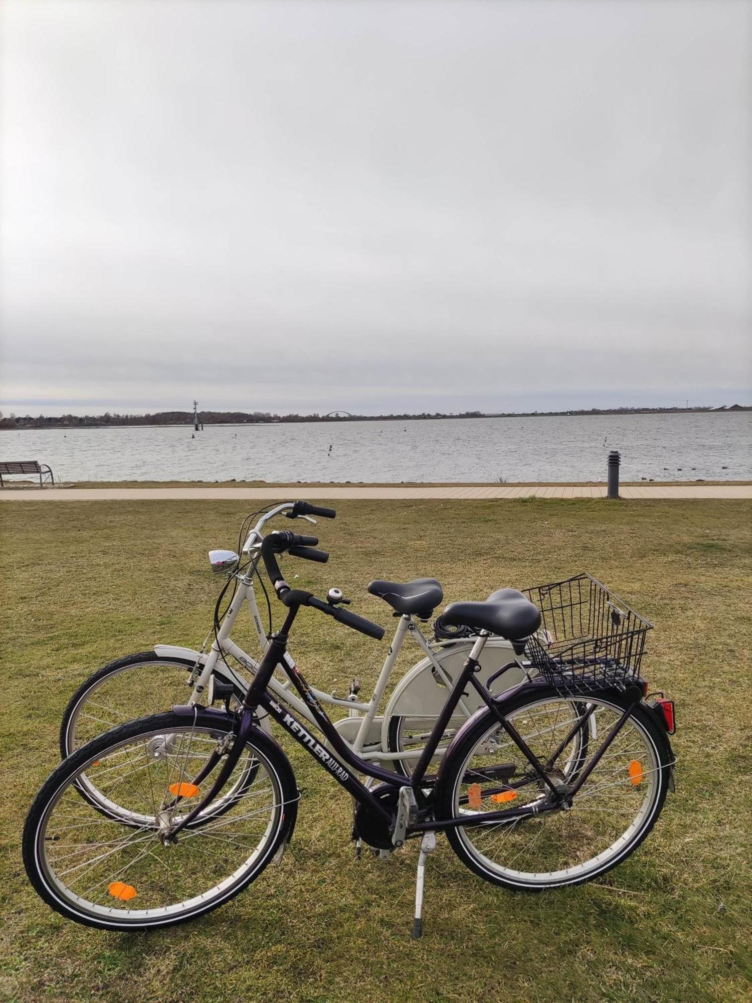 Fewo Eggers 1 Burgtiefe auf Fehmarn エクステリア 写真